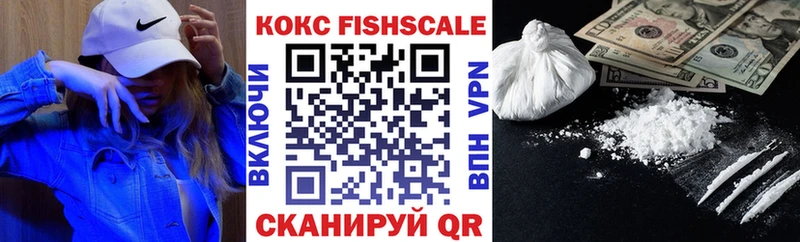 COCAIN Fish Scale цены наркотик Заволжье