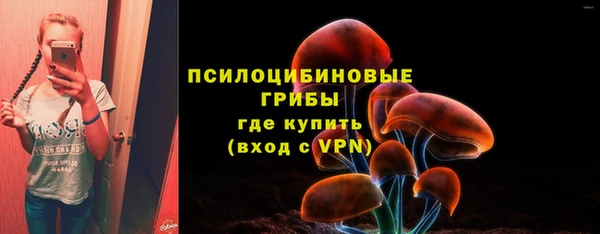 2c-b Абаза