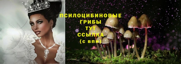 каннабис Алексеевка