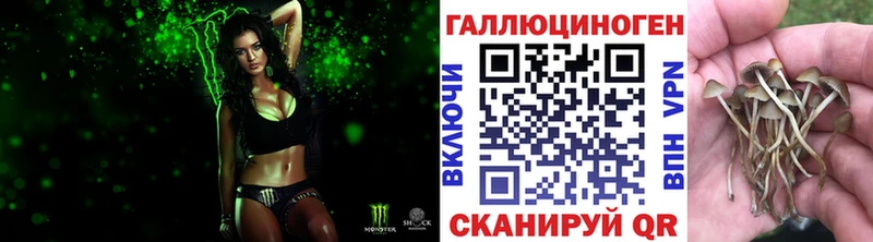 Псилоцибиновые грибы MAGIC MUSHROOMS  Заволжье 