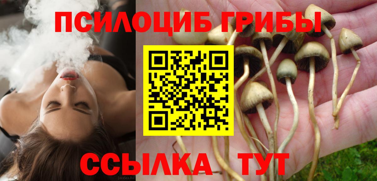 Псилоцибиновые грибы Psilocybe Заволжье