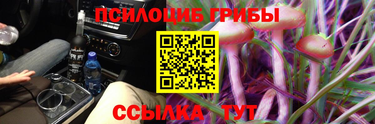 Заволжье  Псилоцибиновые грибы прущие грибы  Вход с VPN 